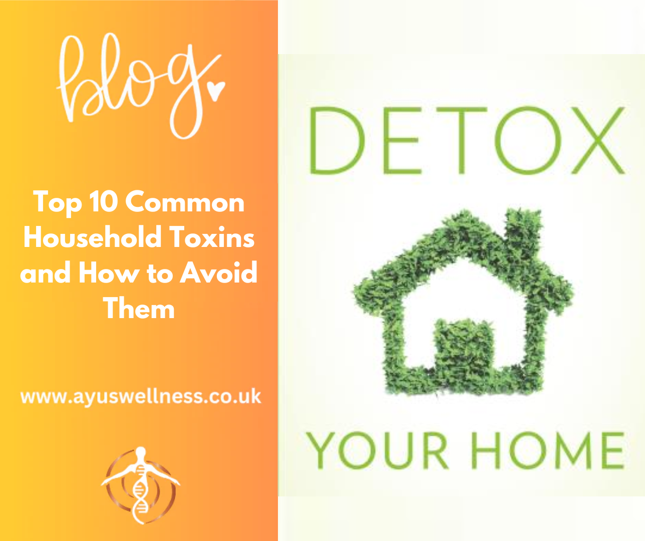 Top 10 Common Household Toxins and How to Avoid Them