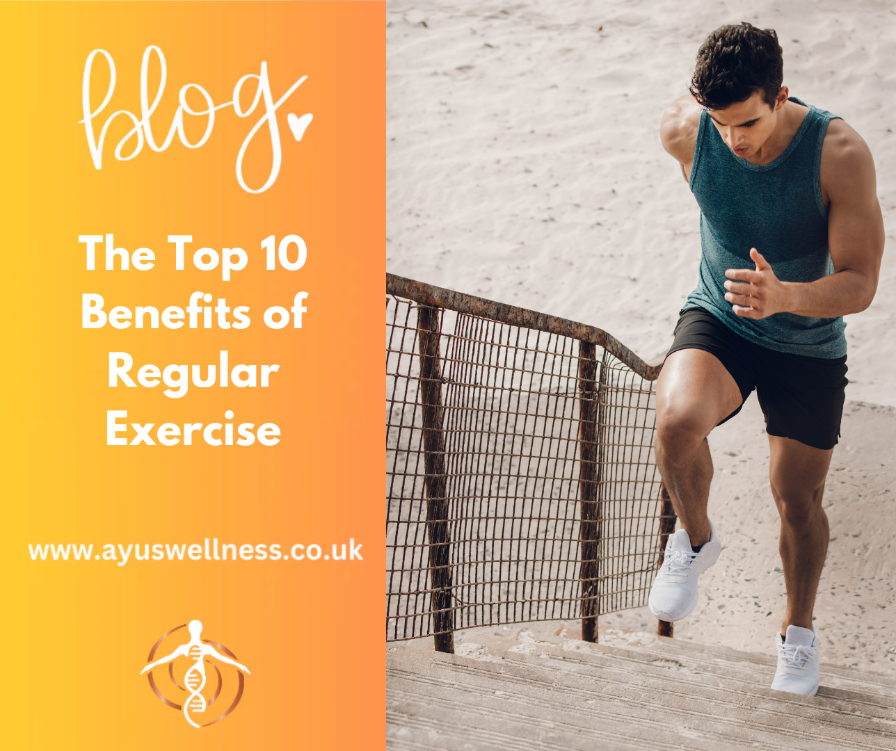 The Top 10 Benefits of Regular Exercise