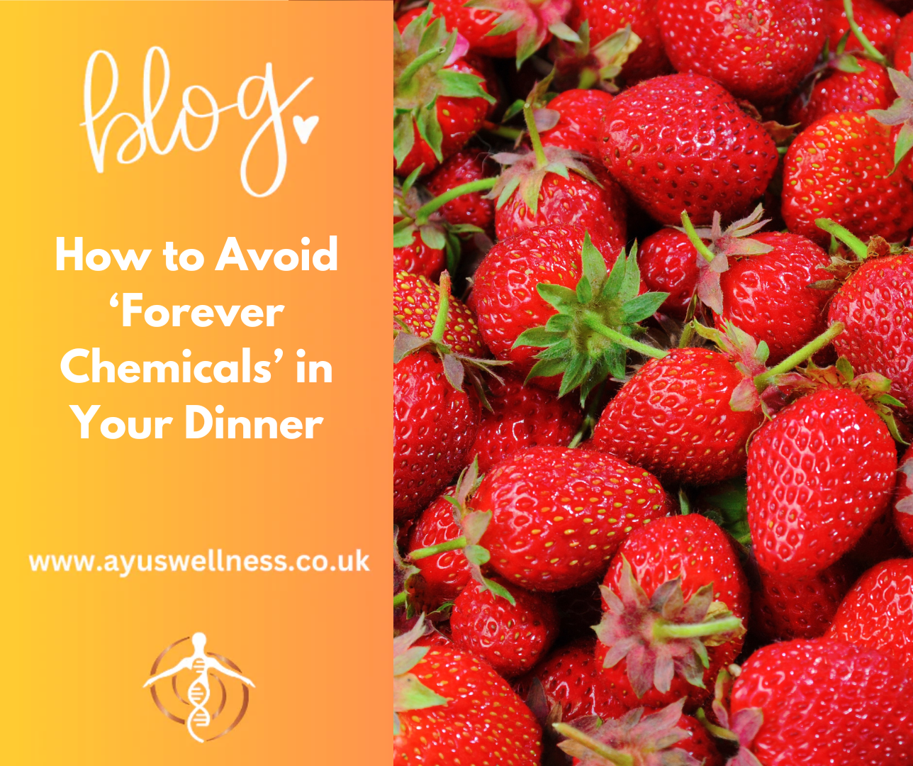 How to Avoid ‘Forever Chemicals’ in Your Dinner