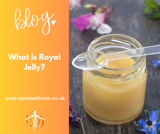 What is Royal Jelly?