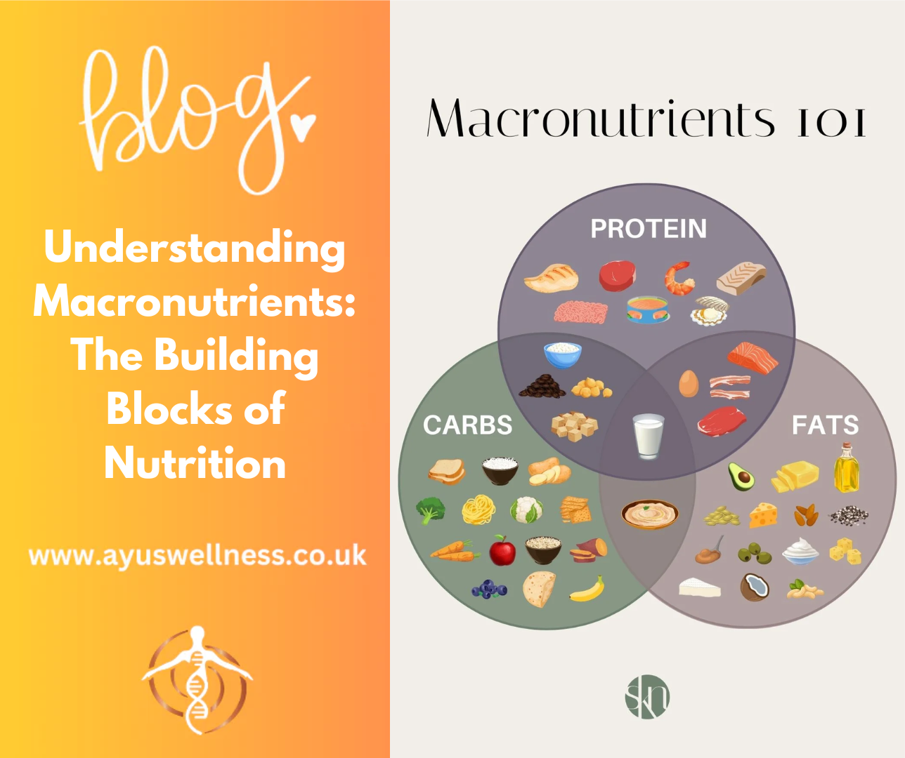 Understanding Macronutrients: The Building Blocks of Nutrition