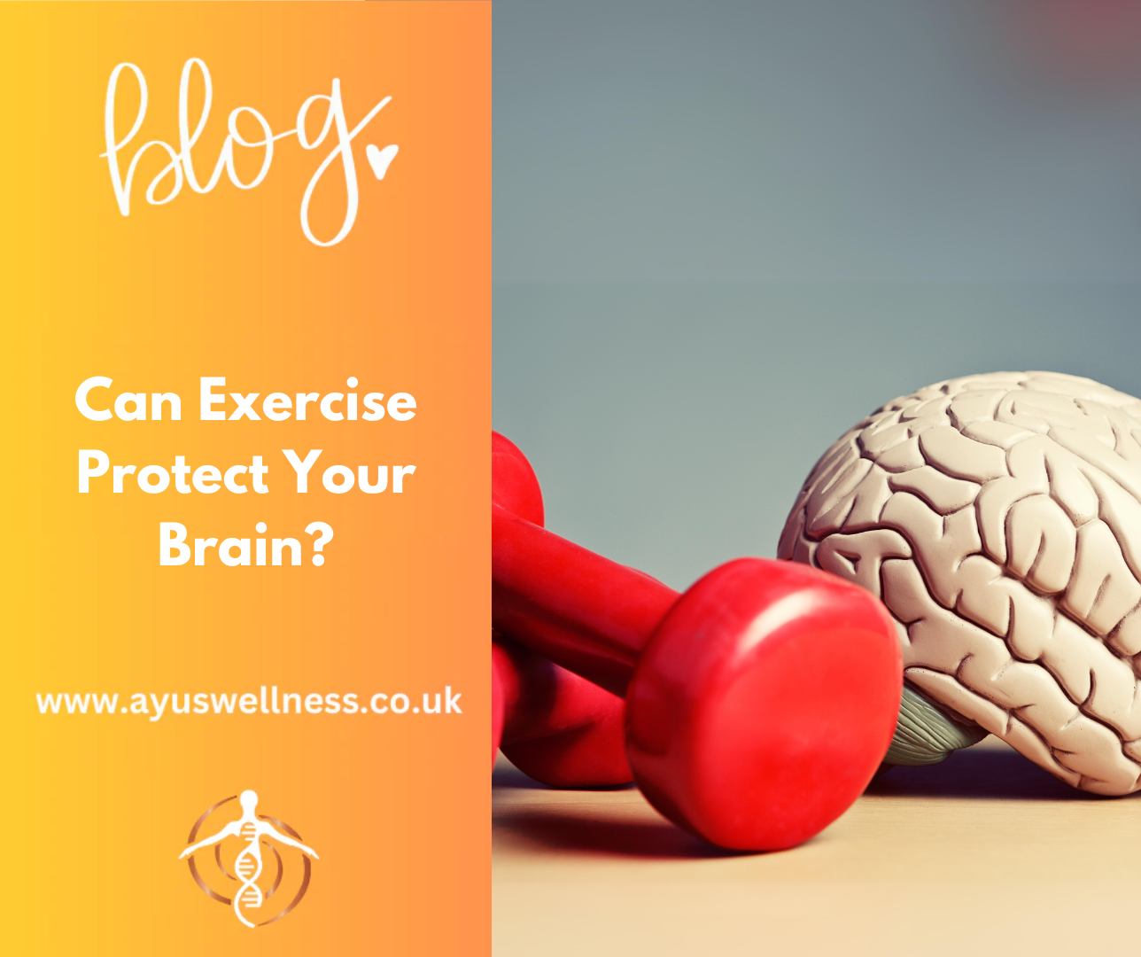 Can Exercise Protect Your Brain?