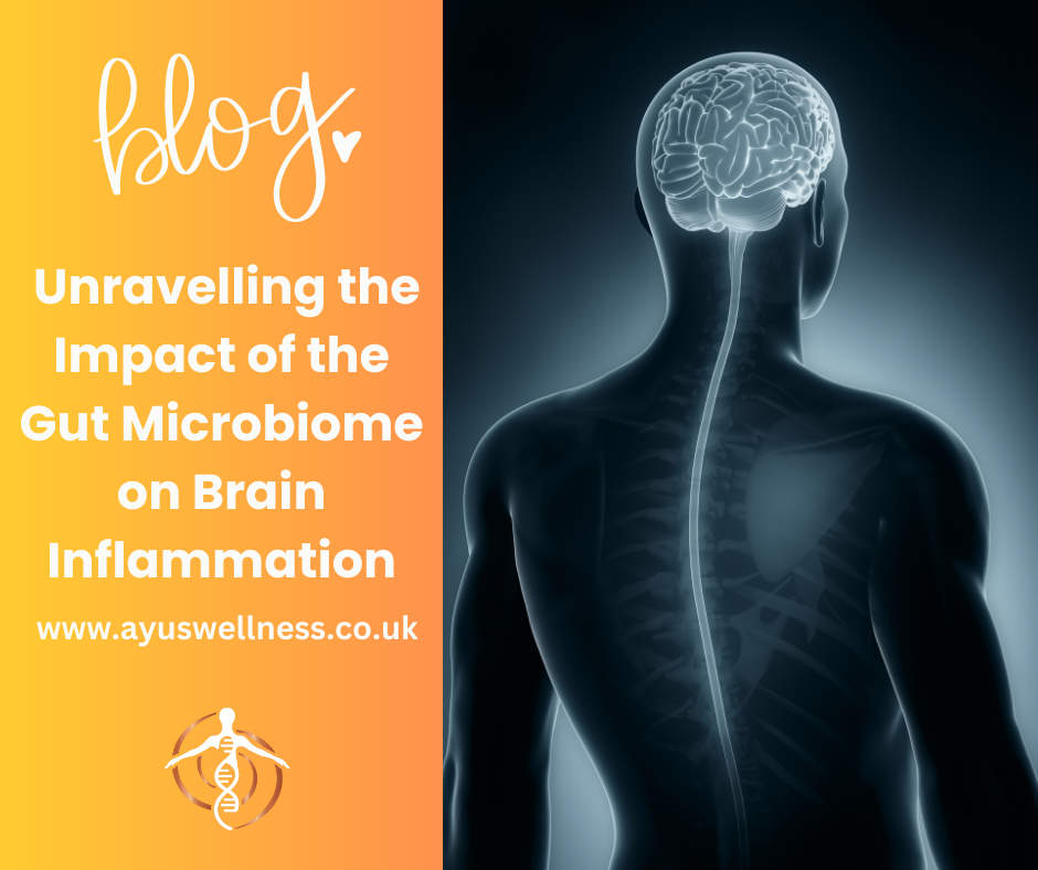 The Gut-Brain Connection: Unravelling the Impact of the Gut Microbiome on Brain Inflammation